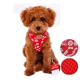 "Denim Cool" Reversible Mesh Panel Vest Harness & Leash Set for Dogs and Cats - Red Denim