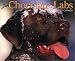 Just Chocolate Labs