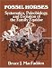 Fossil Horses: Systematics, Paleobiology, and Evolution of the Family Equidae