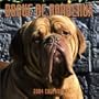 Dogue De Bordeaux 2004 Calendar