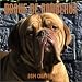 Dogue De Bordeaux 2004 Calendar
