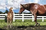 Ranch Horse Pony Barn Indoor Outdoor Rug Door Mat