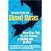 Dead Seas: How the fish on our plates is killing our planet