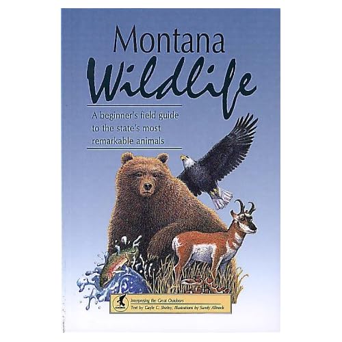Montana Wildlife A Beginner's Field Guide to the State's Most