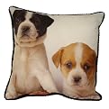 Puppies Decorative Pillow