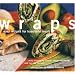 The Very Best Sandwich cookbooks