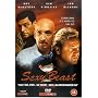 Sexy Beast [DVD] [2001]