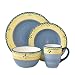 Pfaltzgraff Everyday Garden Path 16-Piece Dinnerware Set Service for 4