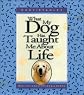 What My Dog Has Taught Me About Life
