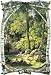 Trompe L' Oeil Woods Deer Lodge Wallpaper Wall Mural Birch Forest Forrest Wildlife Home Decor Mountains Nature Living Room Bedroom Kitchen Den