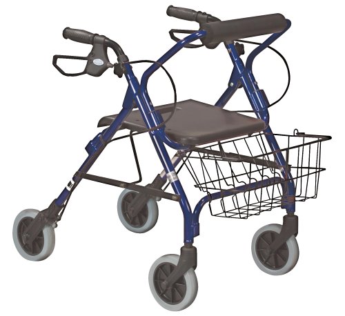 HealthPersonalCare: Drive Medical 301B Junior Go Lite Rollator, Blue
