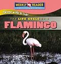 The Life Cycle of a Flamingo (Things with Wings)
