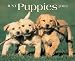 Book Just Puppies