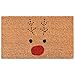 Calloway Mills 105011729 Rudolph Doormat, 17â€ x 29â€, Red/Black