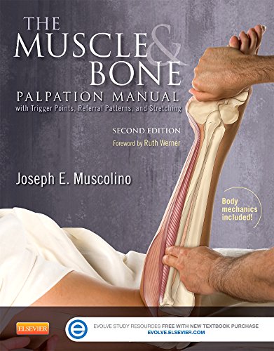 The Muscle and Bone Palpation Manual with Trigger Points, Referral Patterns and Stretching - Elsevier eBook on Intel Education Study (Retail Access Card), 2e