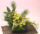 �ԍH�[�ԑ���G�[�f�����C�X �t�����[�M�t�g �������p�A�����W�����g�I���V�W���[��