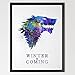 Dignovel Studios 13X19 House Stark Watercolor Print Game Of Thrones art Watercolor Print Wall Hanging Giclee wall print Movie poster Watercolor Art Home Décor N395