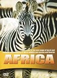 Wildlife - Secret Animals Of Africa