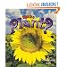What is a Plant? (The Science of Living Things)