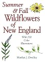 Summer & Fall Wildflowers of New England