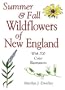 Summer & Fall Wildflowers of New England
