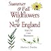 Summer & Fall Wildflowers of New England
