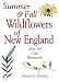 Summer & Fall Wildflowers of New England