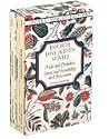 Favorite Jane Austen Novels