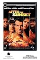 After The Sunset [DVD] [2004]