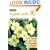 English Skills: Pupil Bk. 6 (English Skills)