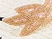 Alilang Vintage 1920s Floral Leaf Flapper Headband