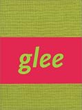 Books : Glee: Painting Now