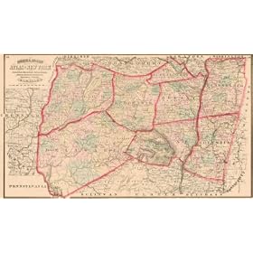 Buy Asher and Adams 1869 Map of Columbia, Rensselaer, Schenectady, Albany, Greene, Schoharie, Delaware...