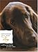 Conversations with Dog: An Uncommon Dogalog of Canine Wisdom