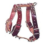 One-Ply Latigo Dog Harness with Spikes and Studs model 177KS (Black, Neck strap adjusts 13-20 in. Chest 18-24 in.)
