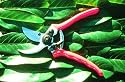 Bypass Secateurs