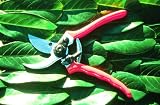 Bypass Secateurs