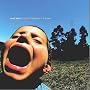 Songs to Scream at the Sun