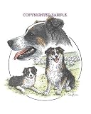 Australian Shepherd - Trio Image by Cindy Farmer