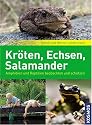 Kröten, Echsen, Salamander: Amphibien und Reptilien beobachten und schützen