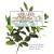 College Mathematics for  Business, Economics, Life Sciences and Social Sciences (10th Edition)