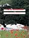 Books : Tobias Rehberger: 005-000: Pocket Dictionary