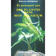Et pourquoi pas des plantes dans mon aquarium