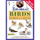Click here to buy Bill Oddie's Birding Pack by  Bill Oddie.