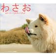 「わさお」ストーリー・ピクチャーブック<br>２０１１「わさお」製作委員会編 <br>毎日新聞社<br>1260円<br>ISBN:9784620200293