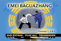 Baguazhang - 8 Trigrams Palm (YMAA)