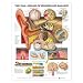 The Ear: Organs of Hearing and Balance Anatomical Chart