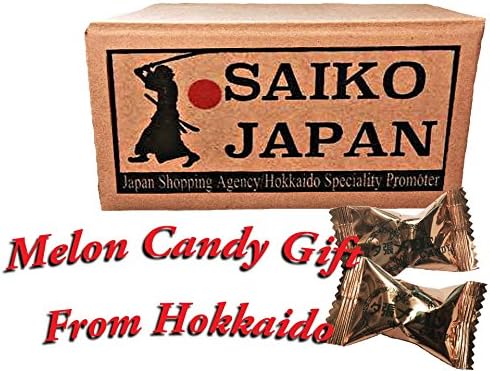 KUSATSU Japan well-known hot spring bathing powder 25g × 10pcs [Imported By ☆SAIKO JAPAN☆]