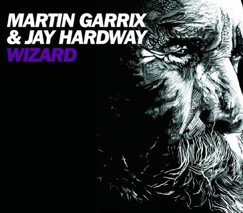 Martin Garrix & Jay Hardway - Wizard - Zortam Music