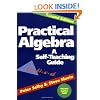Practical Algebra: A Self-Teaching Guide